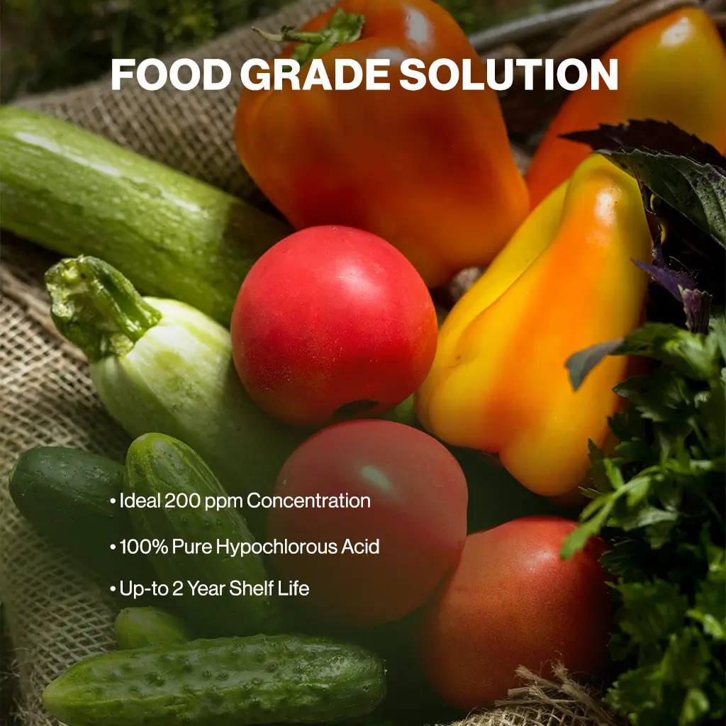 Fruit-Vegetable-Wash.webp
